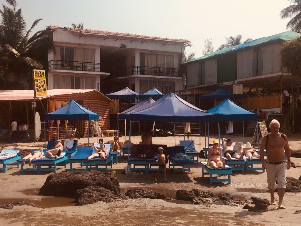 Boomerang Resort Mandrem Exterior photo