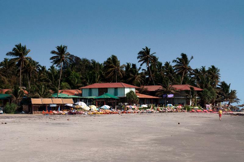 Boomerang Resort Mandrem Exterior photo